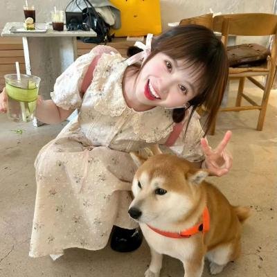 警视厅遗失物搜查档案